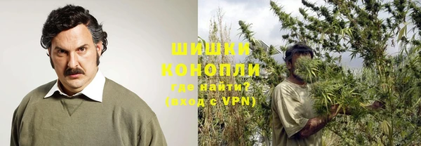 ешки Алзамай