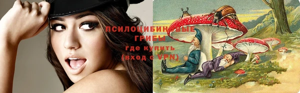 метадон Алексеевка