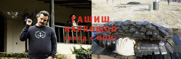 амф Алексин