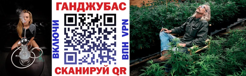 Канабис планчик  Черноголовка 